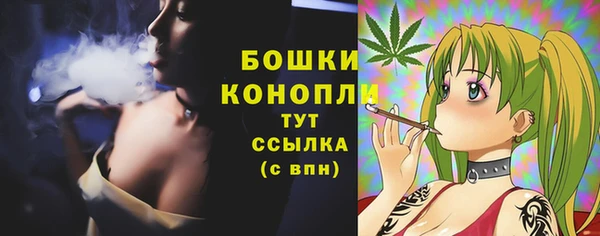 дурь Верея
